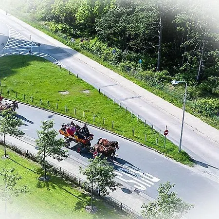 Lägenhet Haus Nordseebrandung Nb51 *
